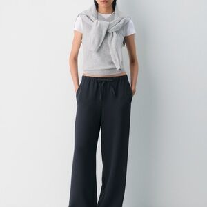 Aritzia Wilfred Lodge Pant - Crepette Large Tall